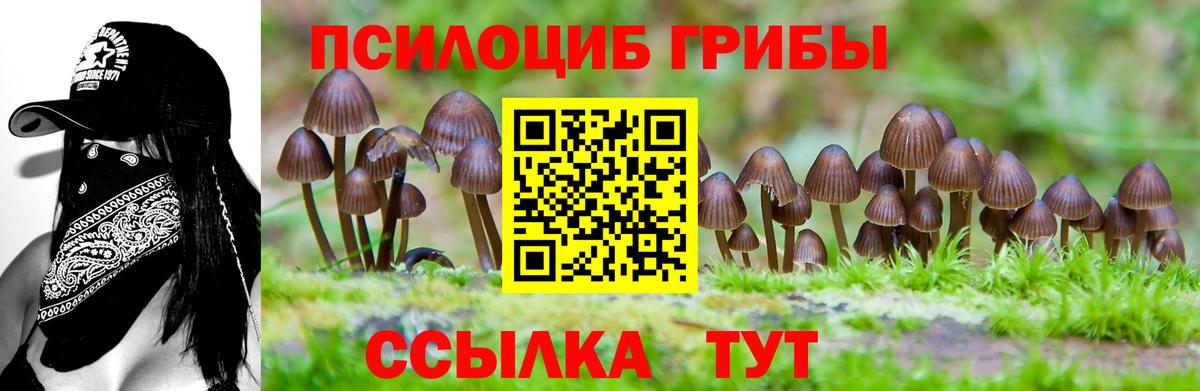 Псилоцибиновые грибы Magic Shrooms  Псилоцибиновые грибы Cubensis  как найти закладки  Владимир  Вход с VPN 